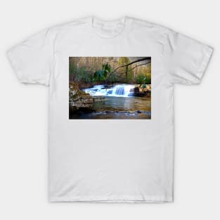 These Falls Are Dismal T-Shirt